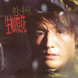 中东大码美女阴毛视频
