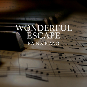 中东大码美女阴毛视频
