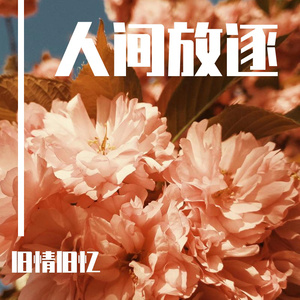 中东大码美女阴毛视频
